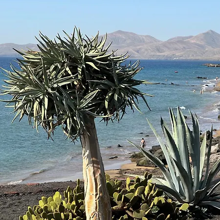 Sea View With Direct Access To Boulevard * プエルト・デル・カルメン