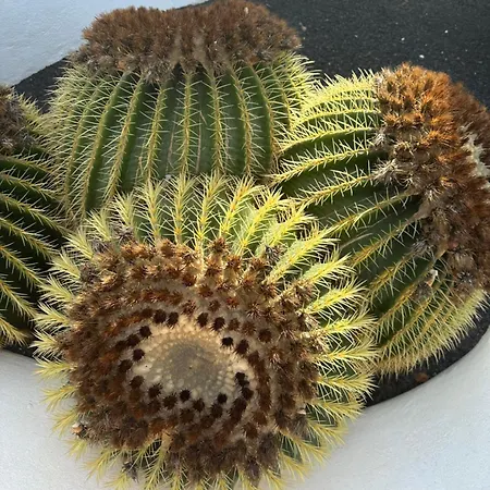 Sea View With Direct Access To Boulevard アパート