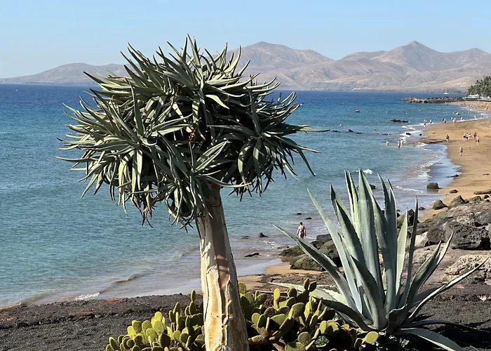 Sea View With Direct Access To Boulevard * プエルト・デル・カルメン