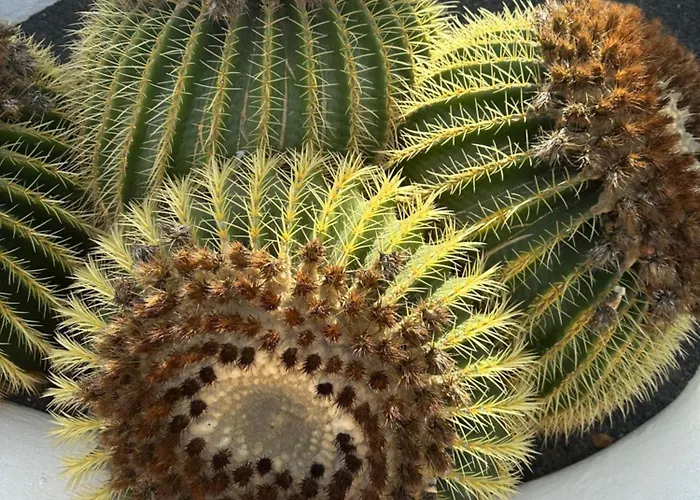 Sea View With Direct Access To Boulevard Apartamento